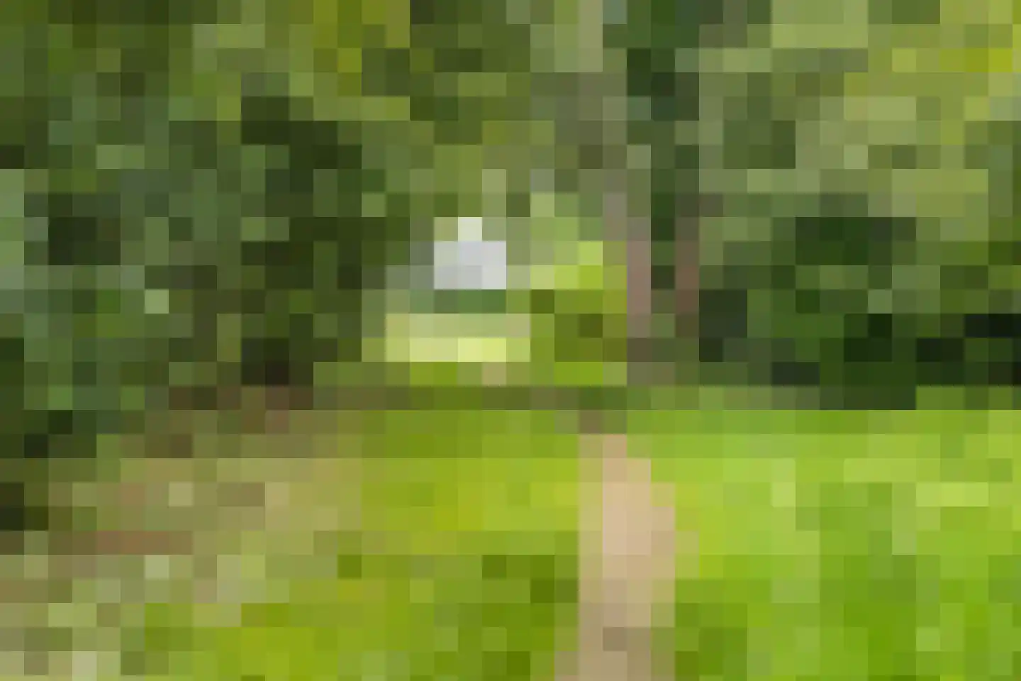 Kapelweg 131 C Amersfoort thumbnail 32