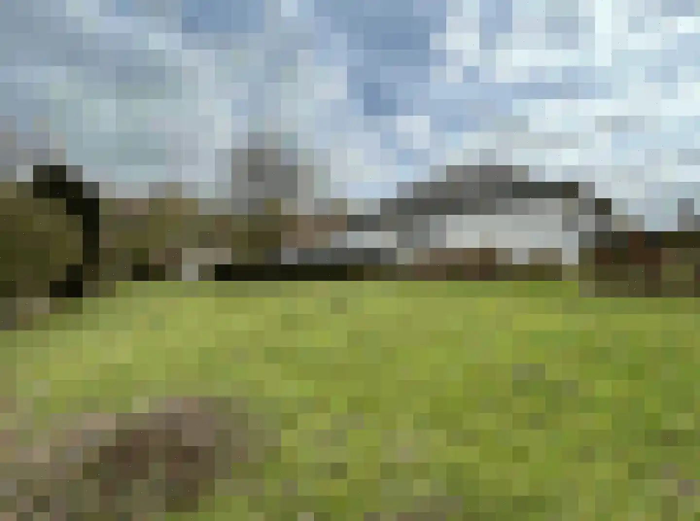Kapelweg 135 Bergeijk thumbnail 20