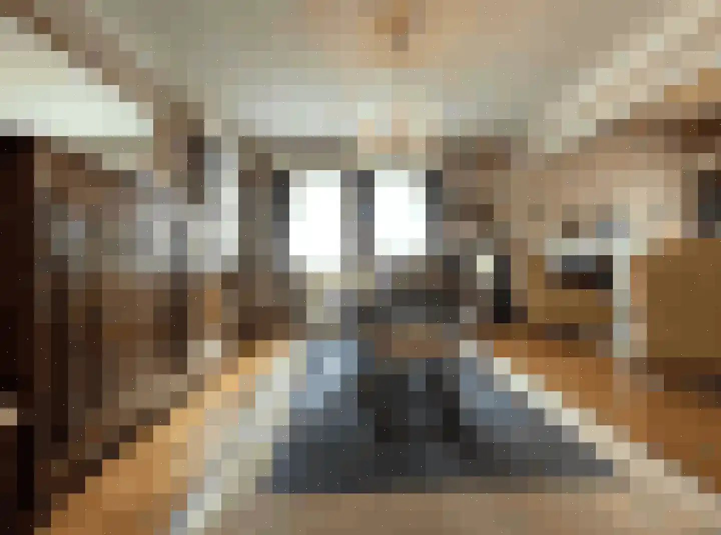 Kapelweg 135 Bergeijk thumbnail 5