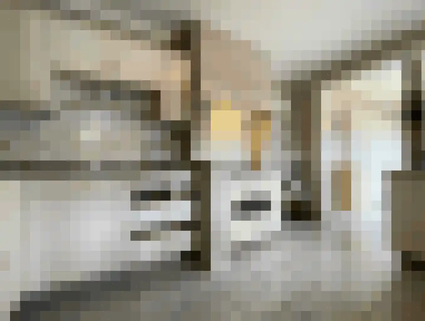 Kapelweg 135 Bergeijk thumbnail 7
