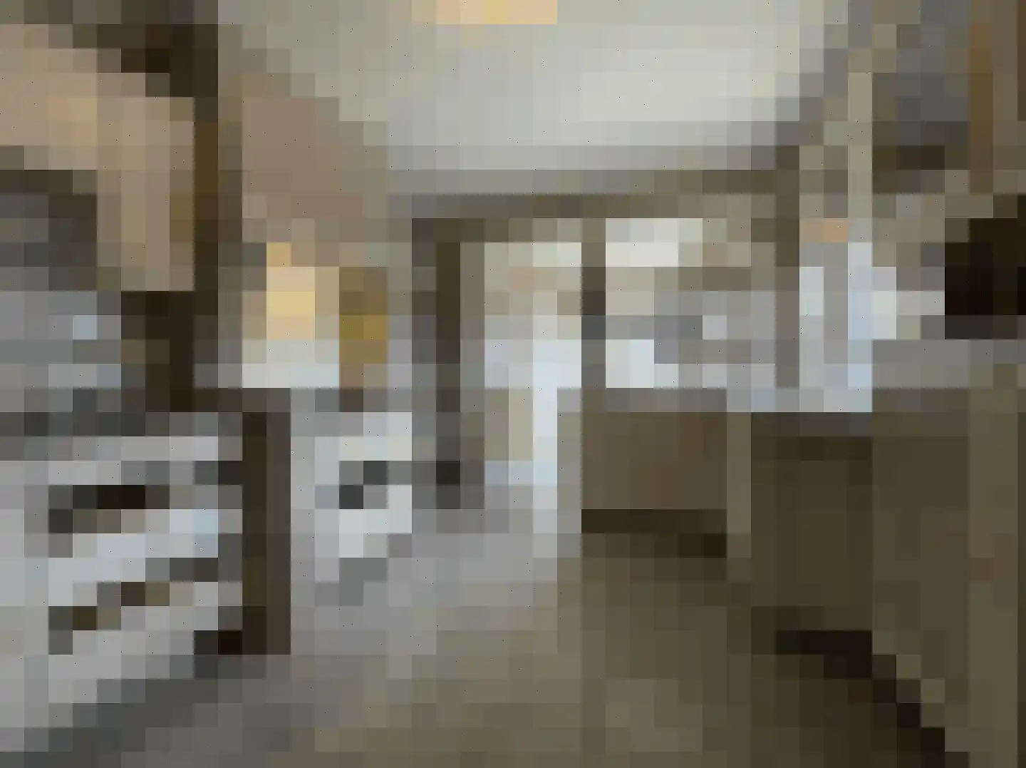Kapelweg 135 Bergeijk thumbnail 8