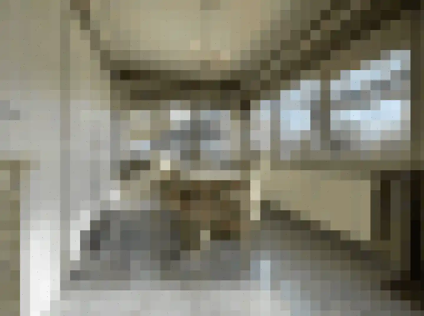 Kapelweg 135 Bergeijk thumbnail 9