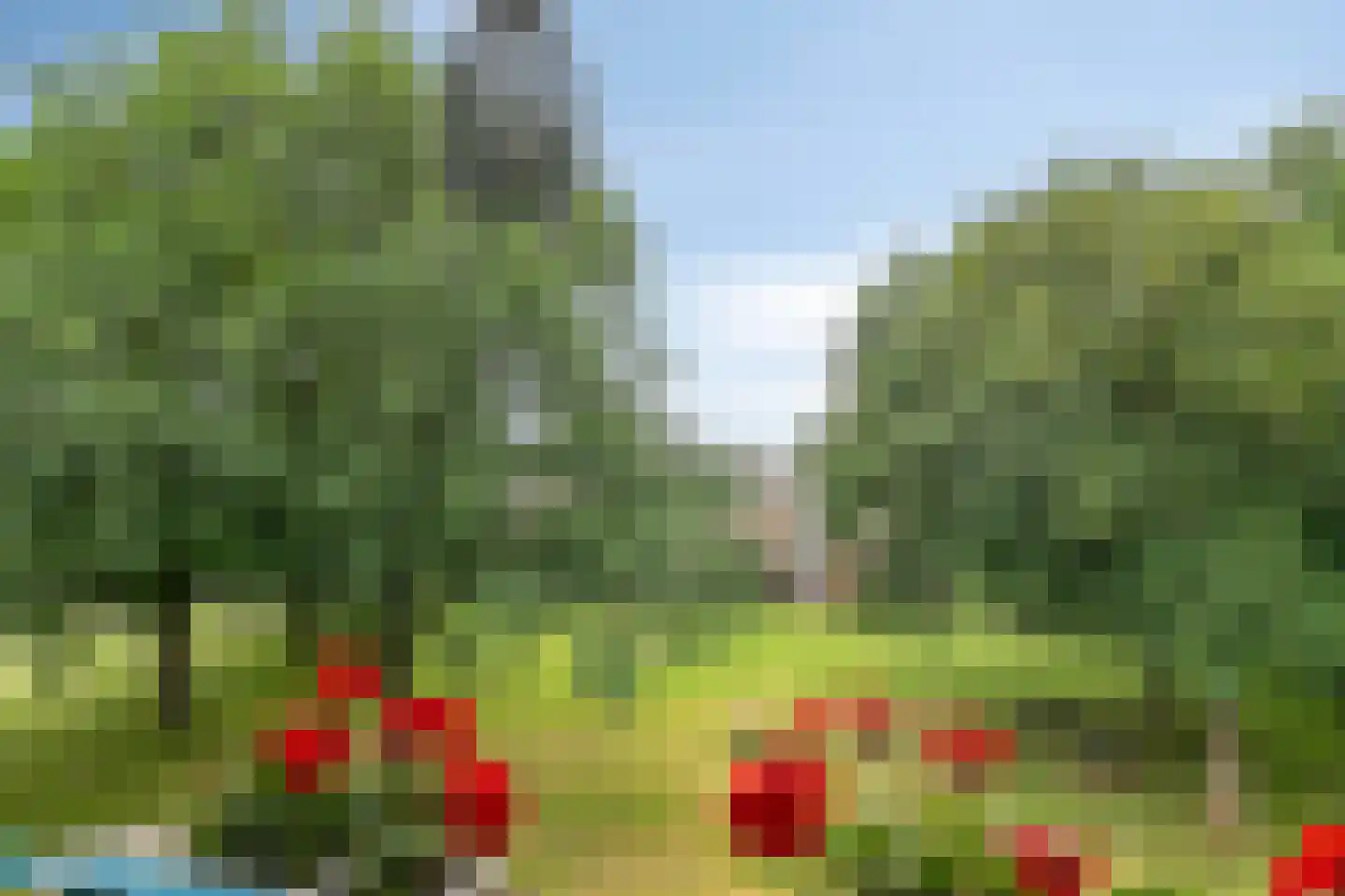 Kapelweg 137 C Amersfoort thumbnail 20