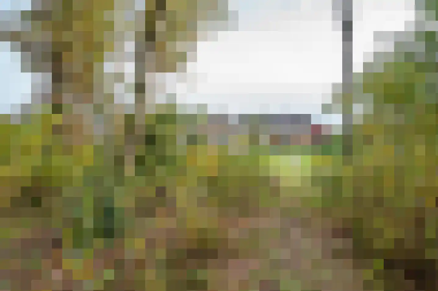 Kapelweg 14 Hengelo (Gld) thumbnail 37