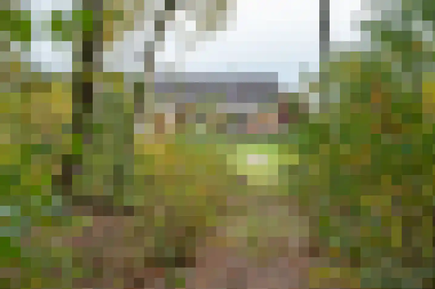 Kapelweg 14 Hengelo (Gld) thumbnail 39
