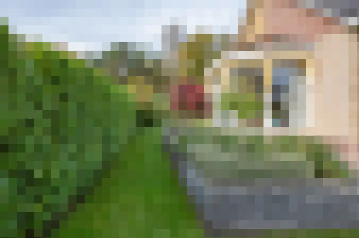 Kapelweg 14 Hengelo (Gld) thumbnail 6