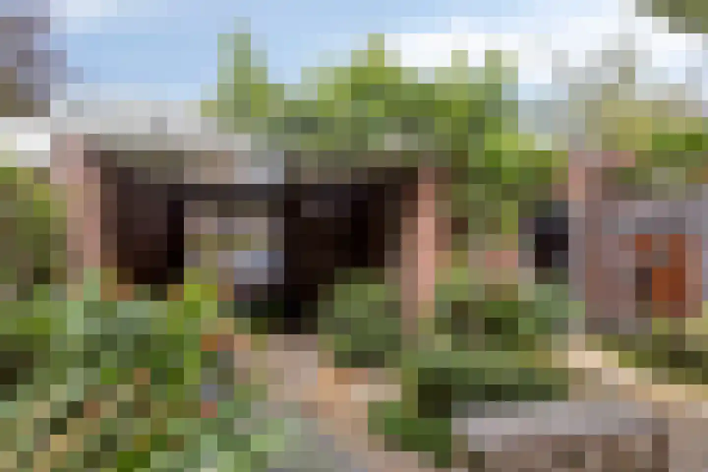 Kapelweg 14 Vragender thumbnail 4