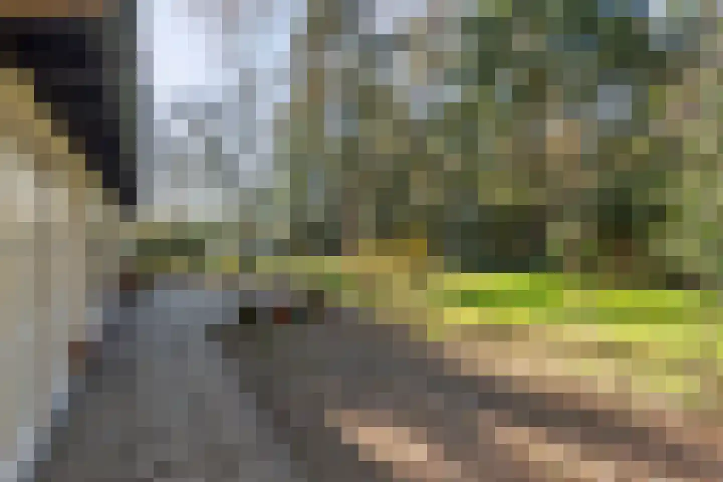 Kapelweg 145 Bergeijk thumbnail 19