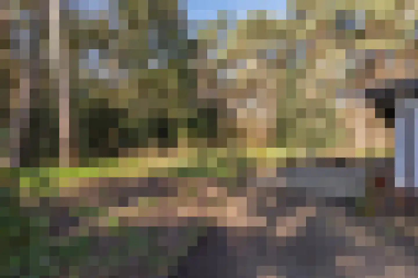 Kapelweg 145 Bergeijk thumbnail 20
