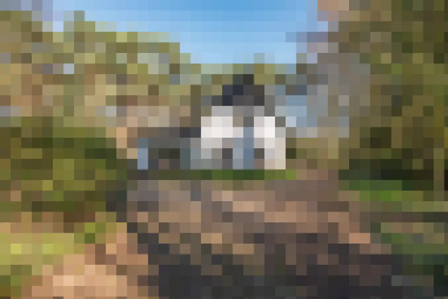 Kapelweg 145 Bergeijk thumbnail 21