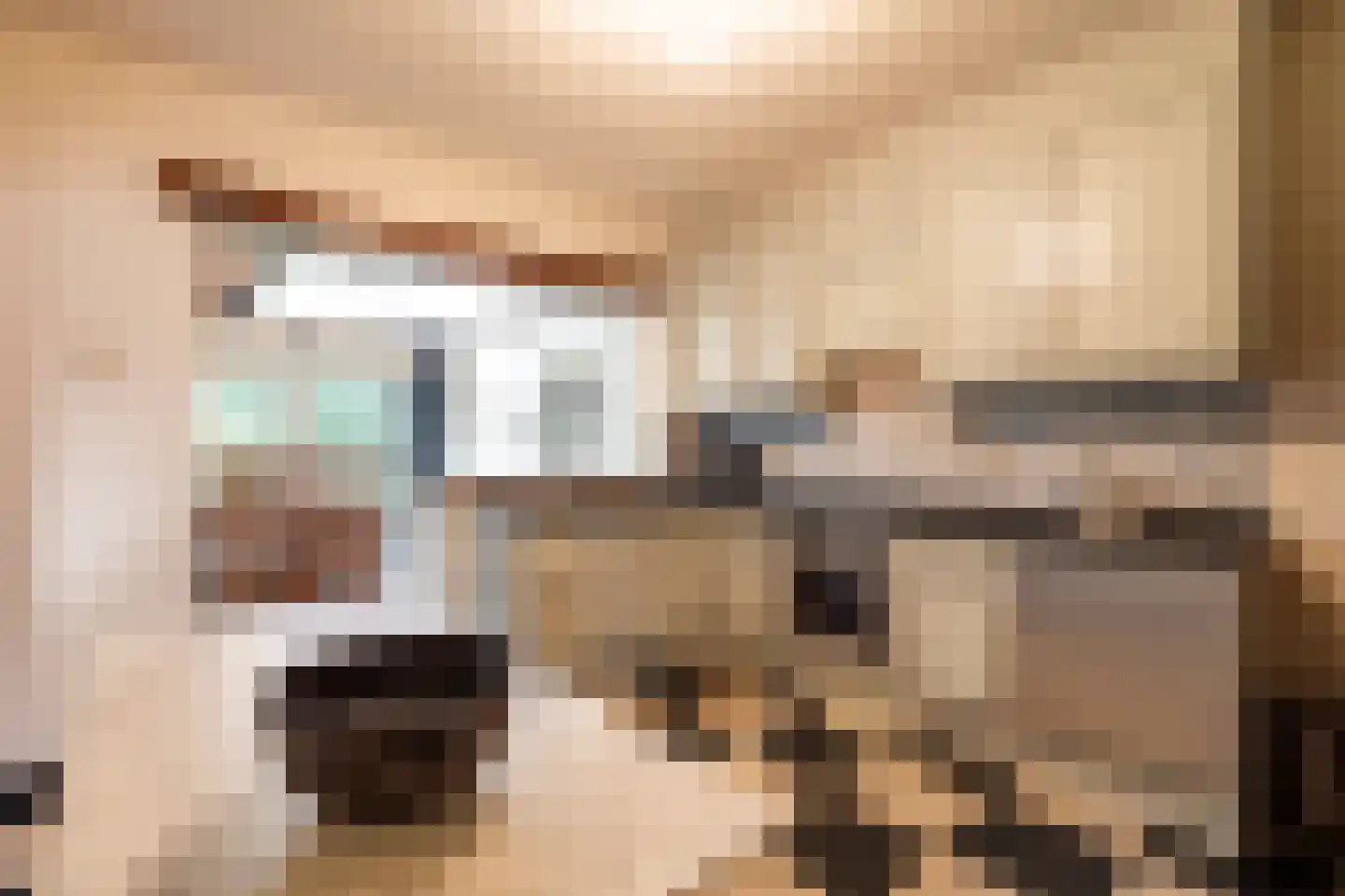 Kapelweg 145 Bergeijk thumbnail 7