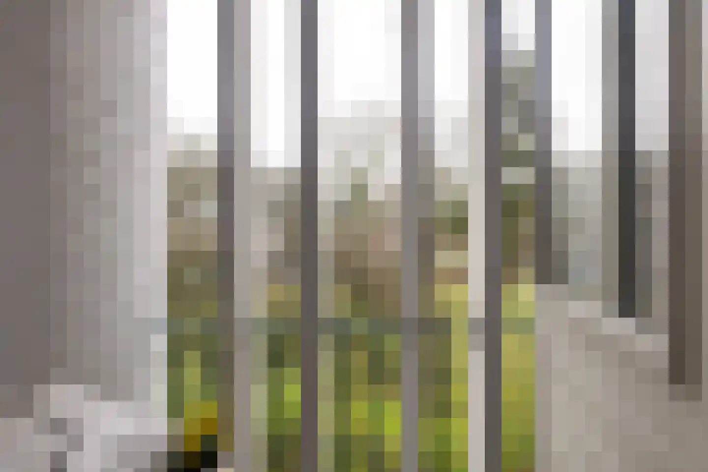 Kapelweg 151 B Amersfoort thumbnail 19