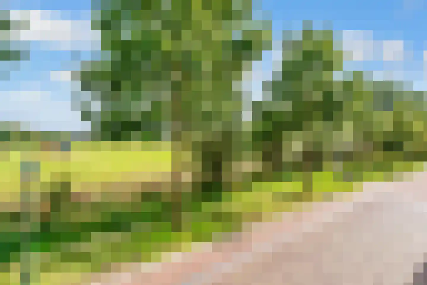 Kapelweg 16 De Bilt thumbnail 23