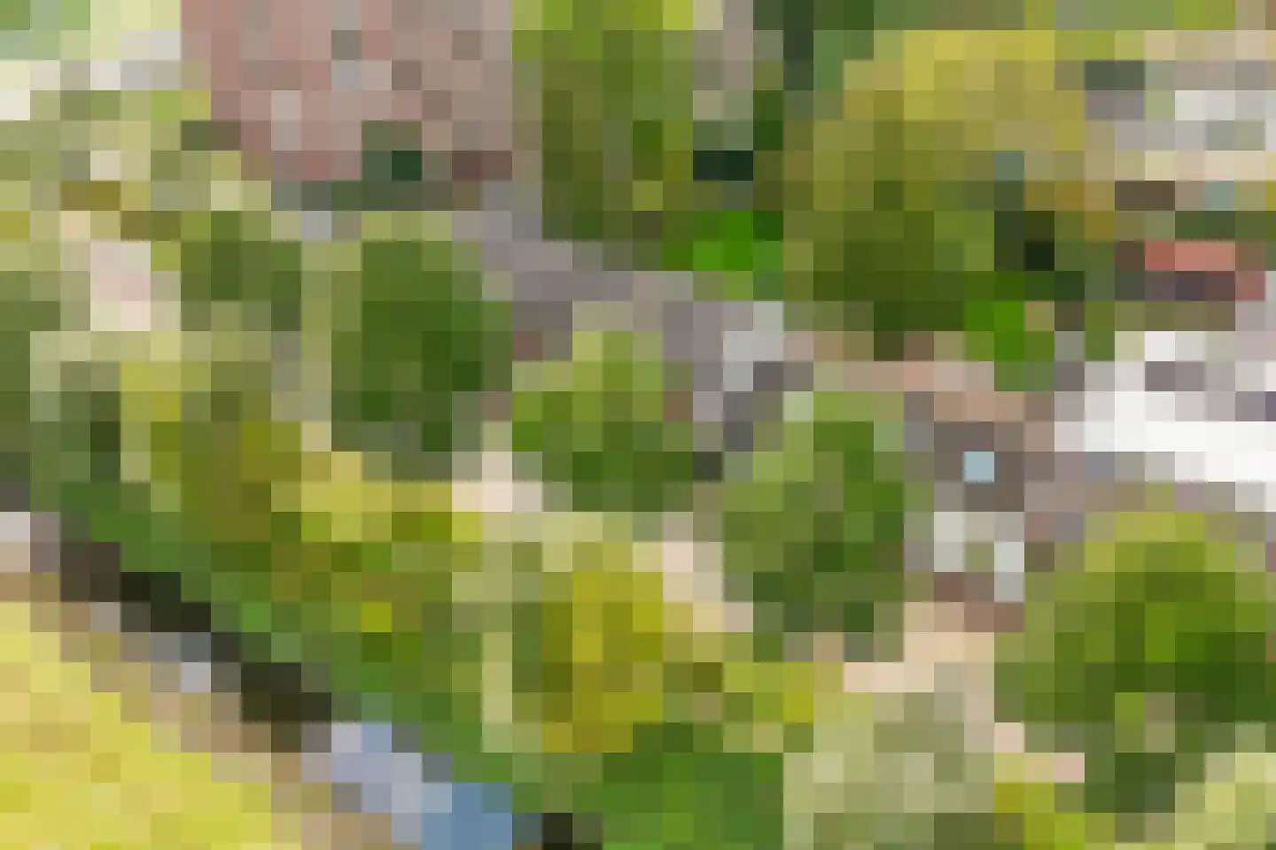 Kapelweg 16 De Bilt thumbnail 36