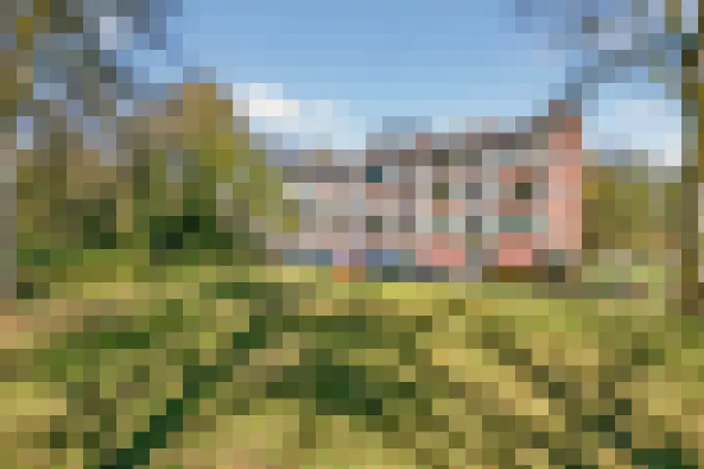 Kapelweg 171 C Amersfoort thumbnail 5