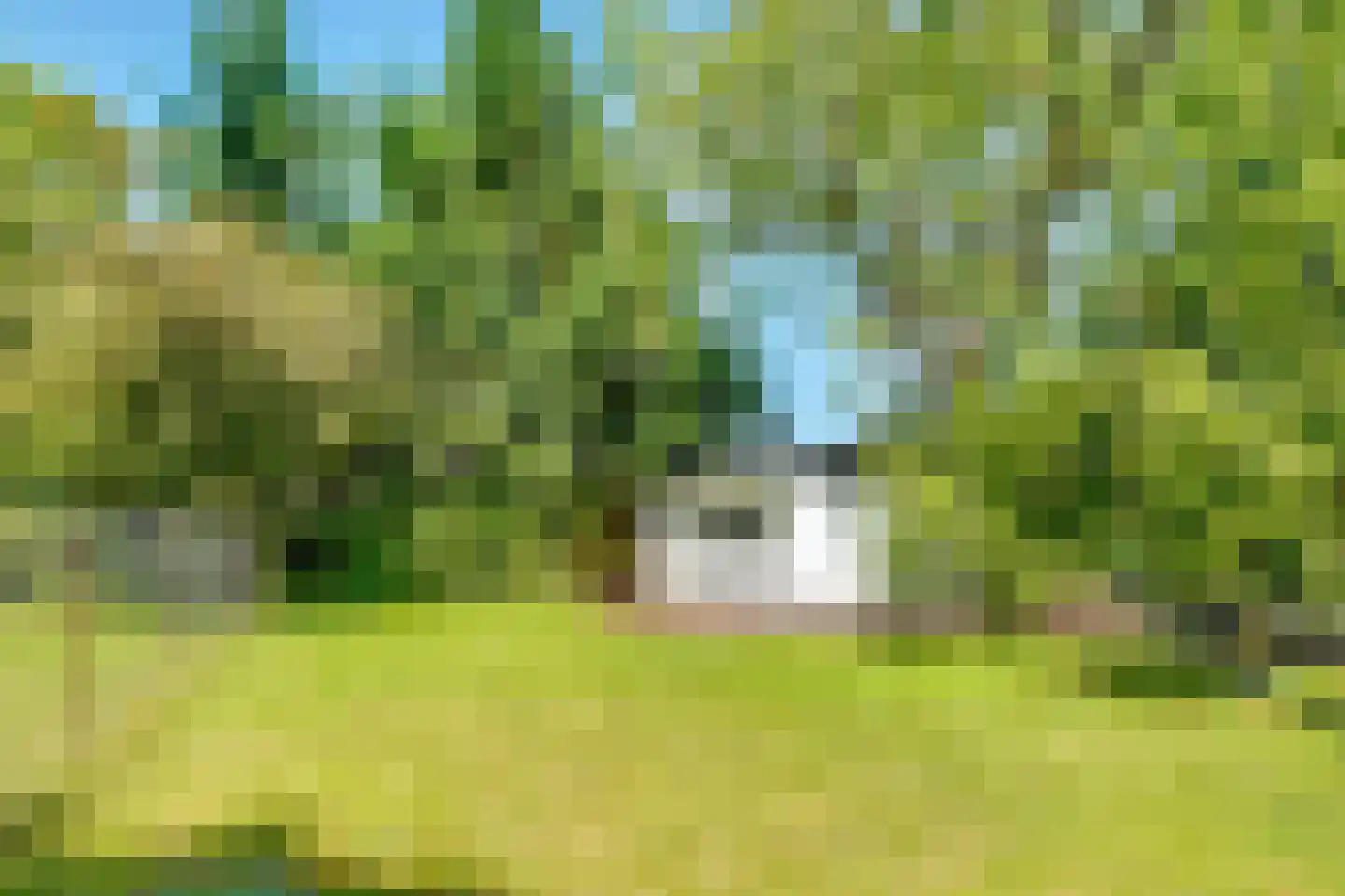 Kapelweg 18 De Bilt thumbnail 23