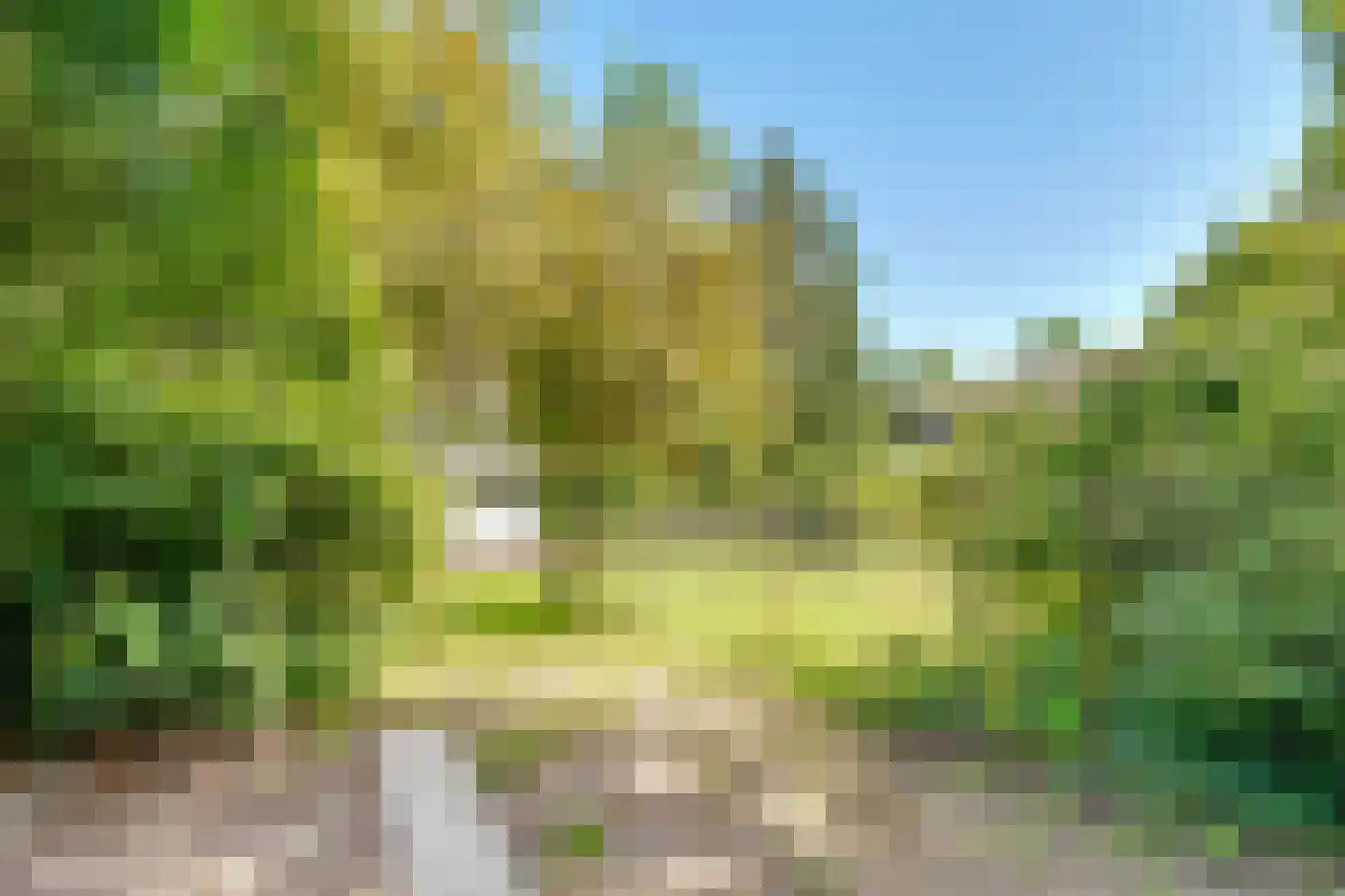 Kapelweg 18 De Bilt thumbnail 24