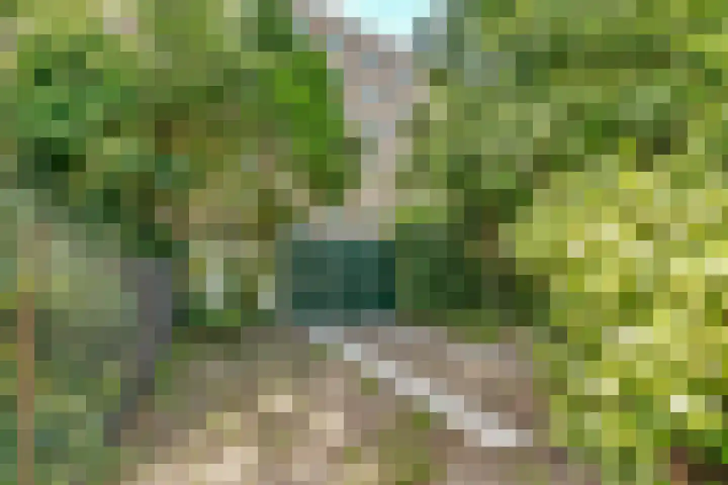 Kapelweg 18 De Bilt thumbnail 26