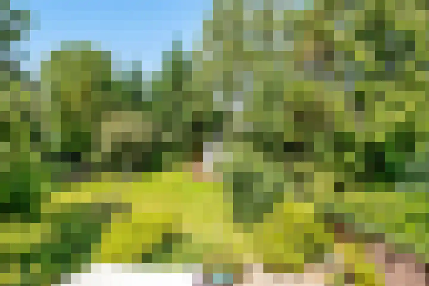 Kapelweg 18 De Bilt thumbnail 32