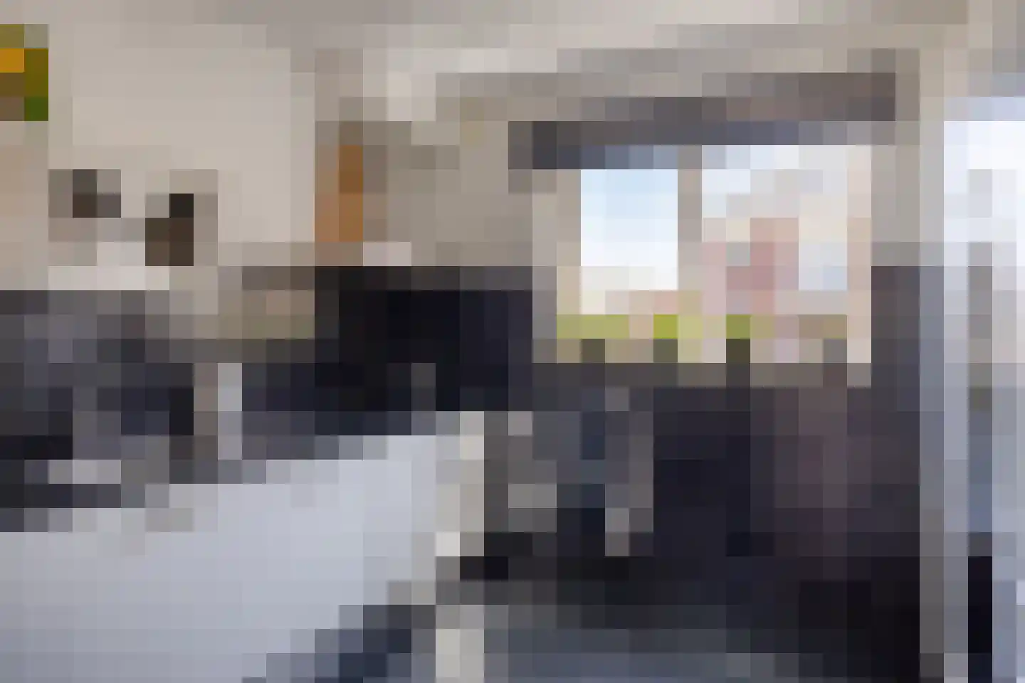 Kapelweg 18 Vragender thumbnail 13