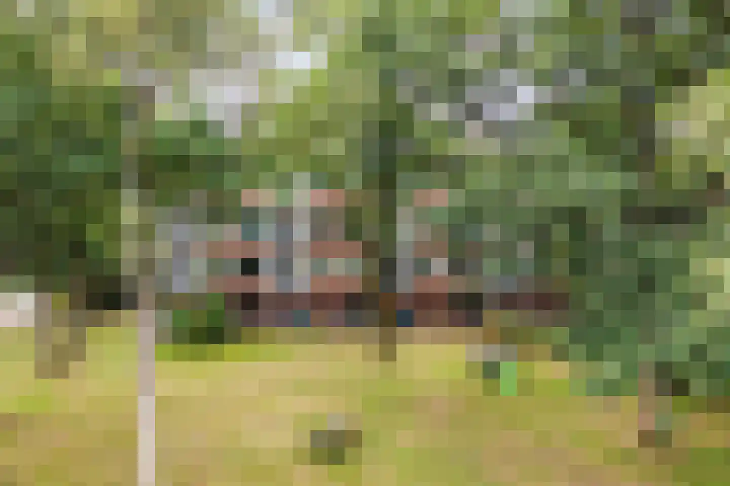 Kapelweg 185 C Amersfoort thumbnail 30