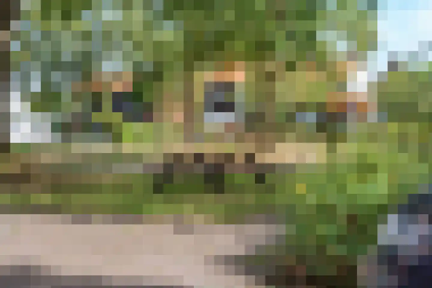 Kapelweg 185 C Amersfoort thumbnail 31