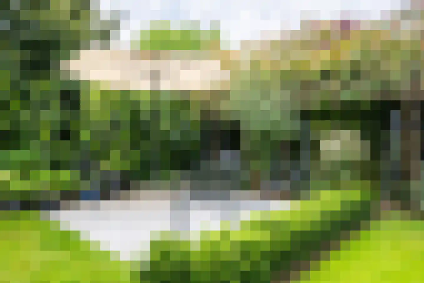 Kapelweg 19 Cadier en Keer thumbnail 28