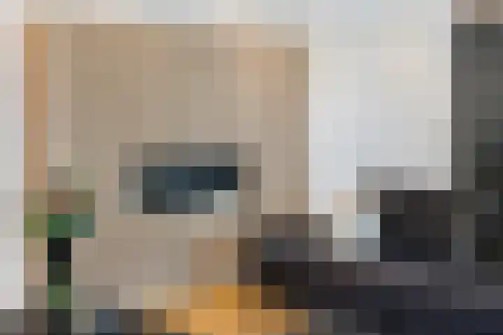 Kapelweg 2 Kessel thumbnail 12