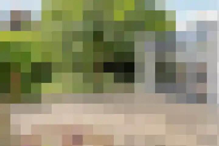 Kapelweg 2 Kessel thumbnail 35