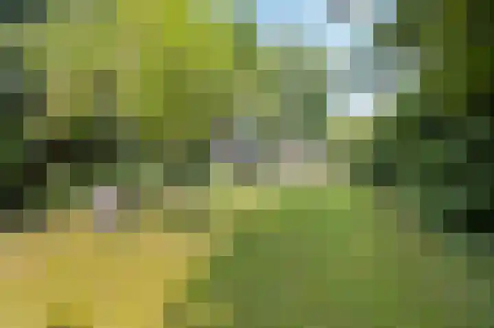 Kapelweg 2 Kessel thumbnail 36