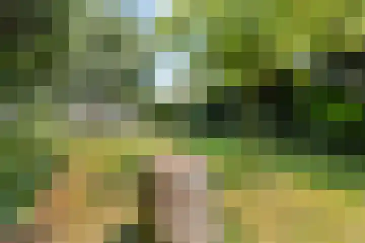 Kapelweg 2 Kessel thumbnail 37