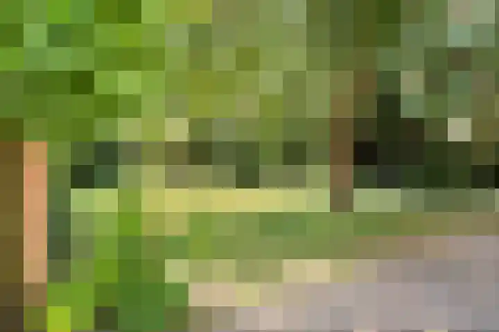 Kapelweg 2 Kessel thumbnail 38