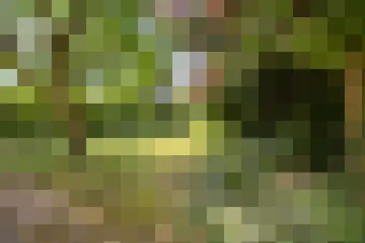 Kapelweg 2 Kessel thumbnail 39