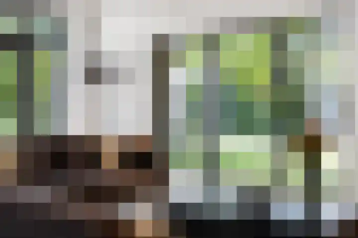 Kapelweg 2 Kessel thumbnail 9