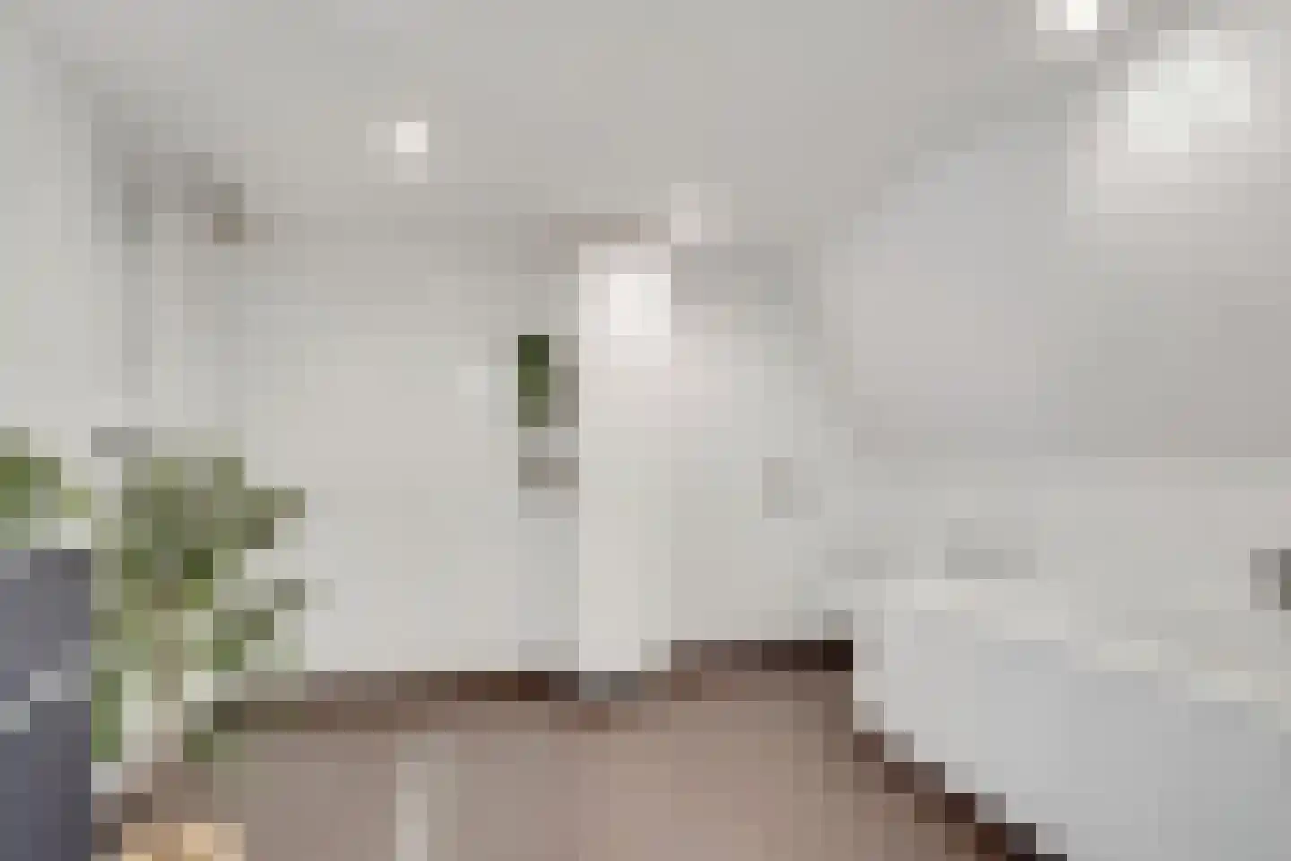 Kapelweg 20 De Bilt thumbnail 30