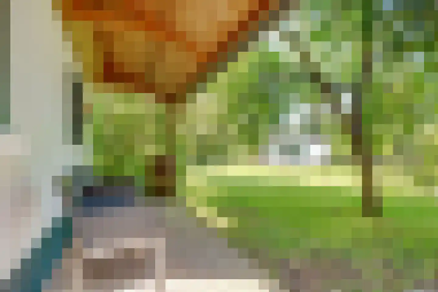 Kapelweg 20 De Bilt thumbnail 41