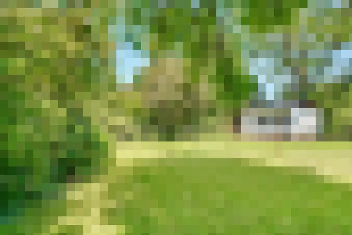Kapelweg 20 De Bilt thumbnail 43