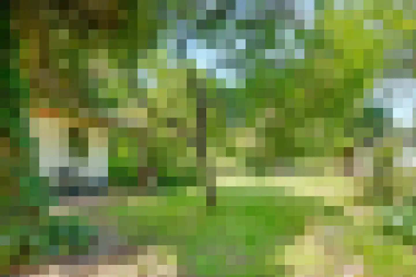 Kapelweg 20 De Bilt thumbnail 46