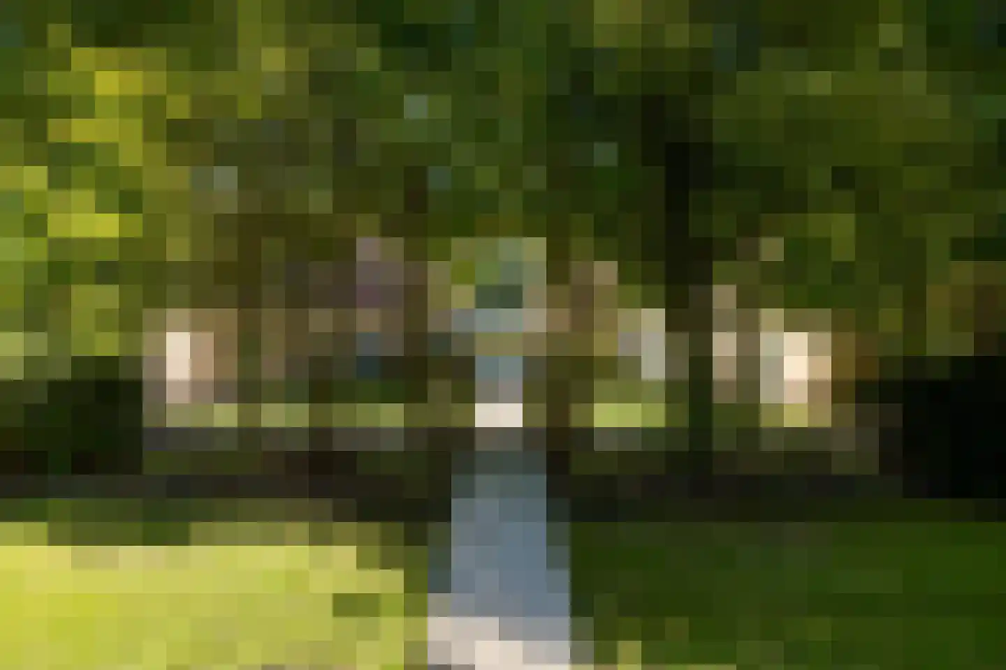 Kapelweg 23 Bergeijk thumbnail 10