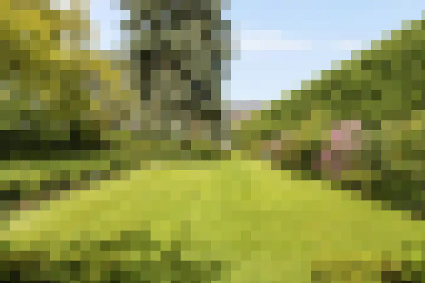 Kapelweg 23 Bergeijk thumbnail 29
