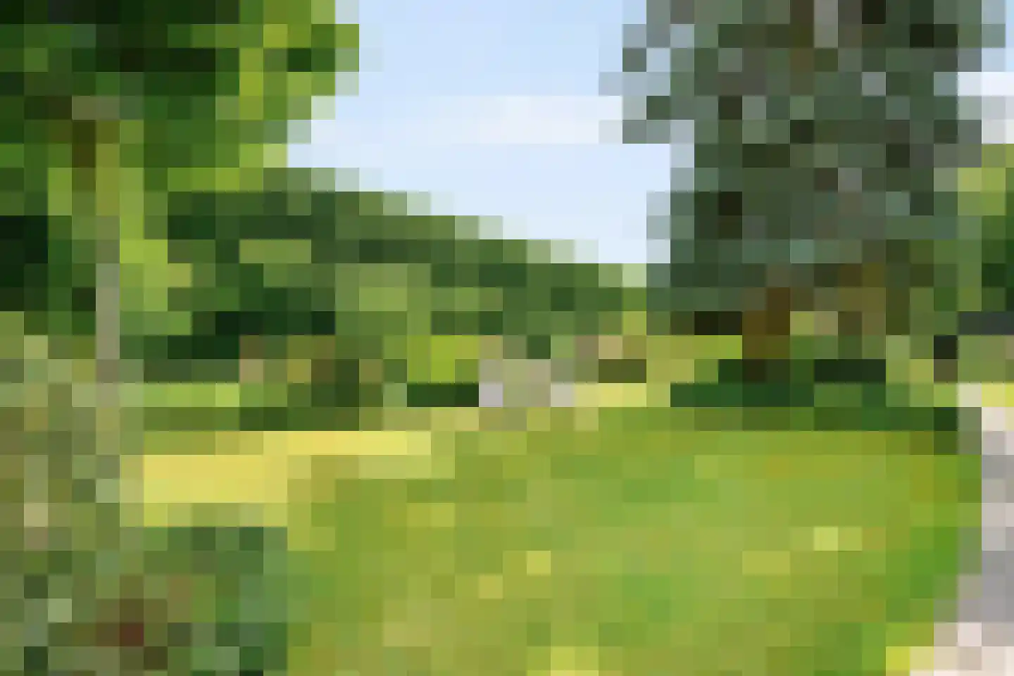 Kapelweg 23 Bergeijk thumbnail 30