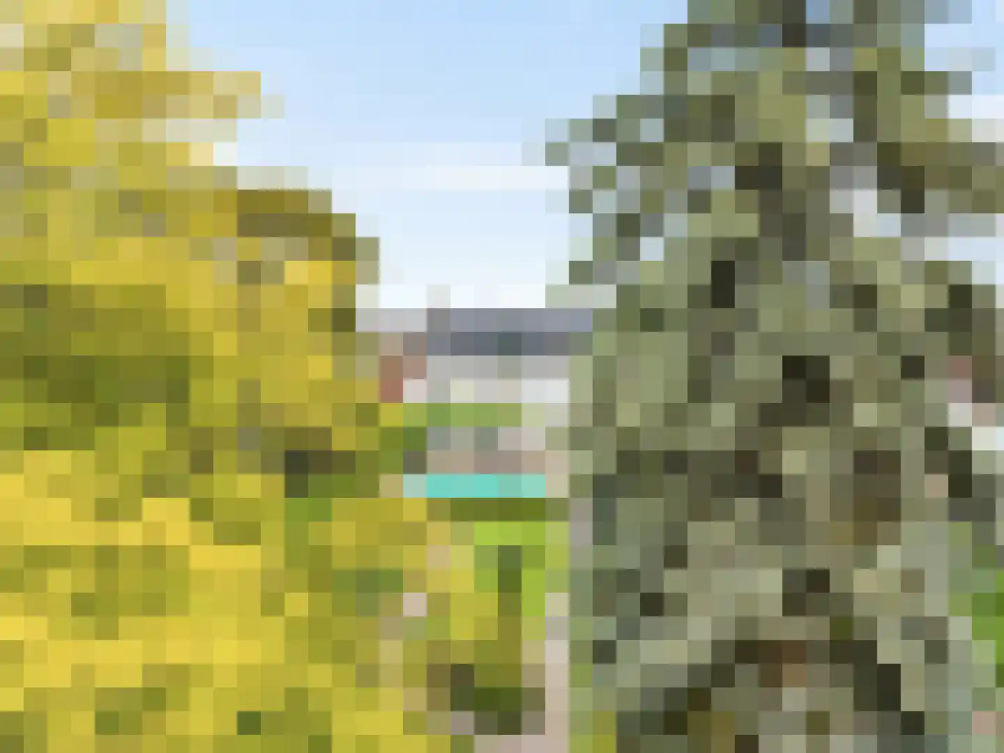 Kapelweg 23 Bergeijk thumbnail 4
