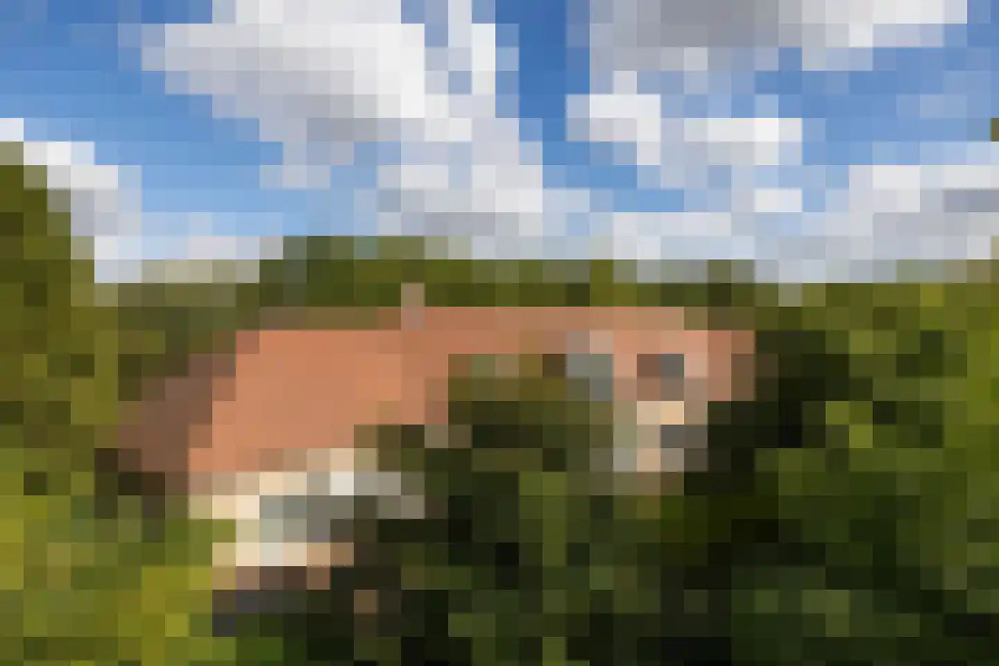 Kapelweg 23 Bergeijk thumbnail 57