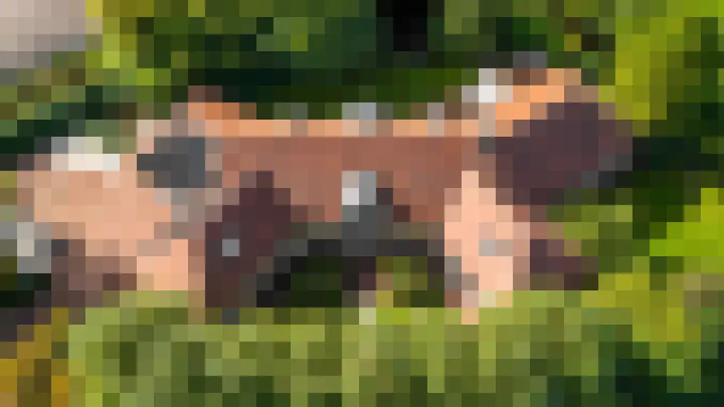 Kapelweg 23 Bergeijk thumbnail 6