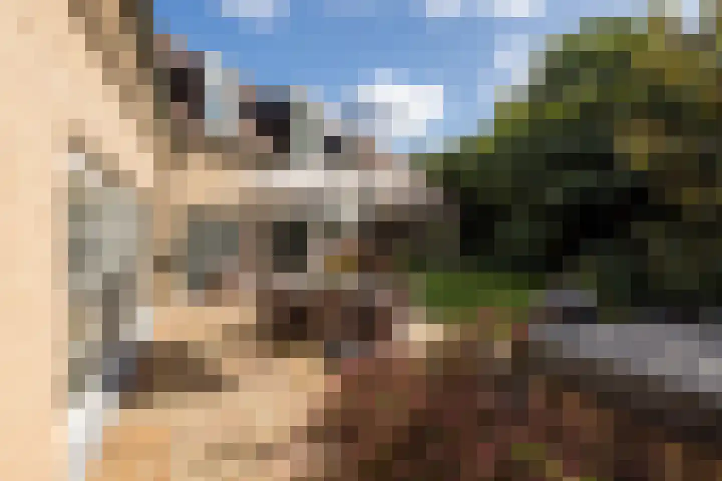 Kapelweg 23 Bergeijk thumbnail 61