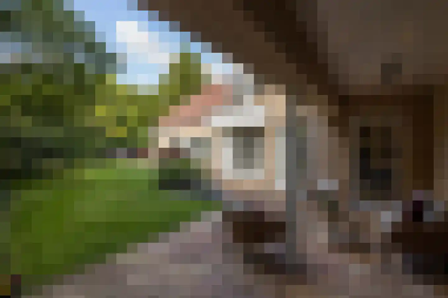 Kapelweg 23 Bergeijk thumbnail 63