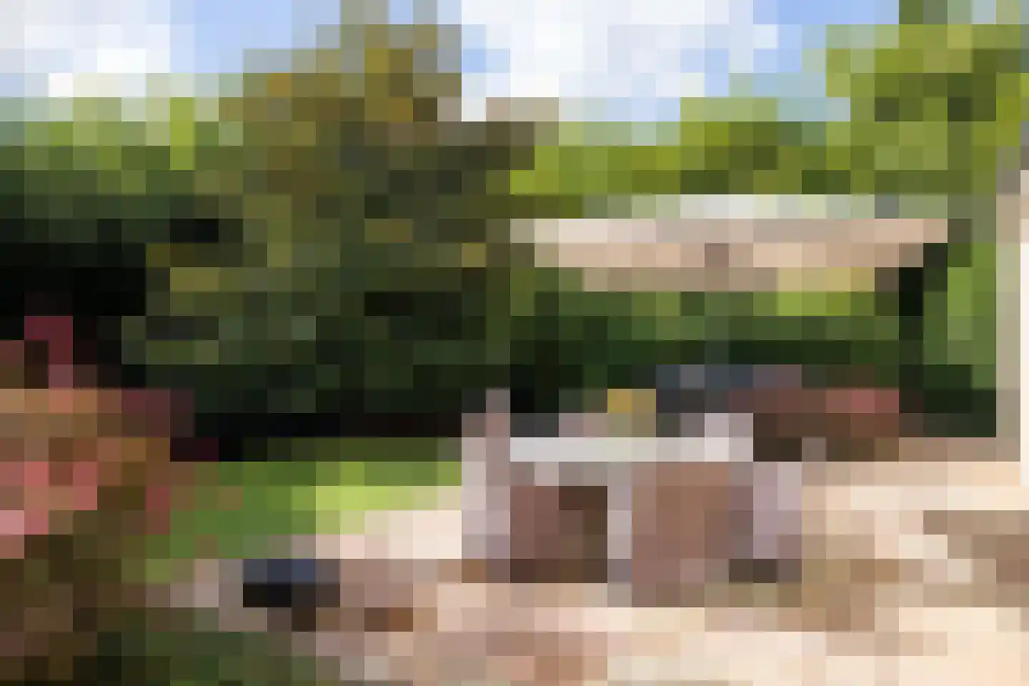 Kapelweg 23 Bergeijk thumbnail 64