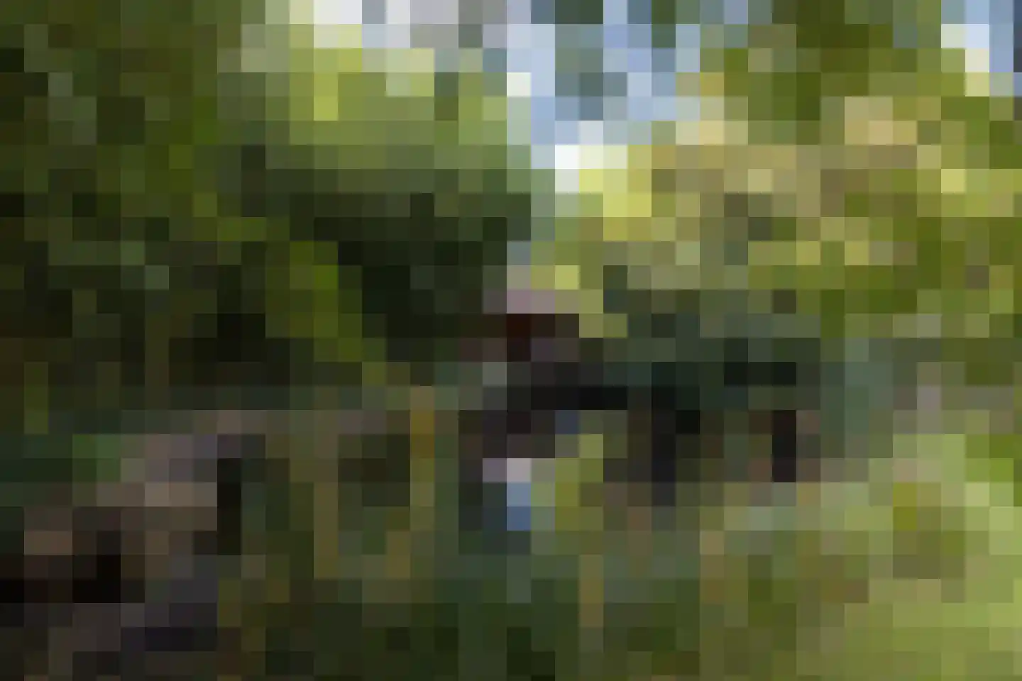 Kapelweg 23 Bergeijk thumbnail 67