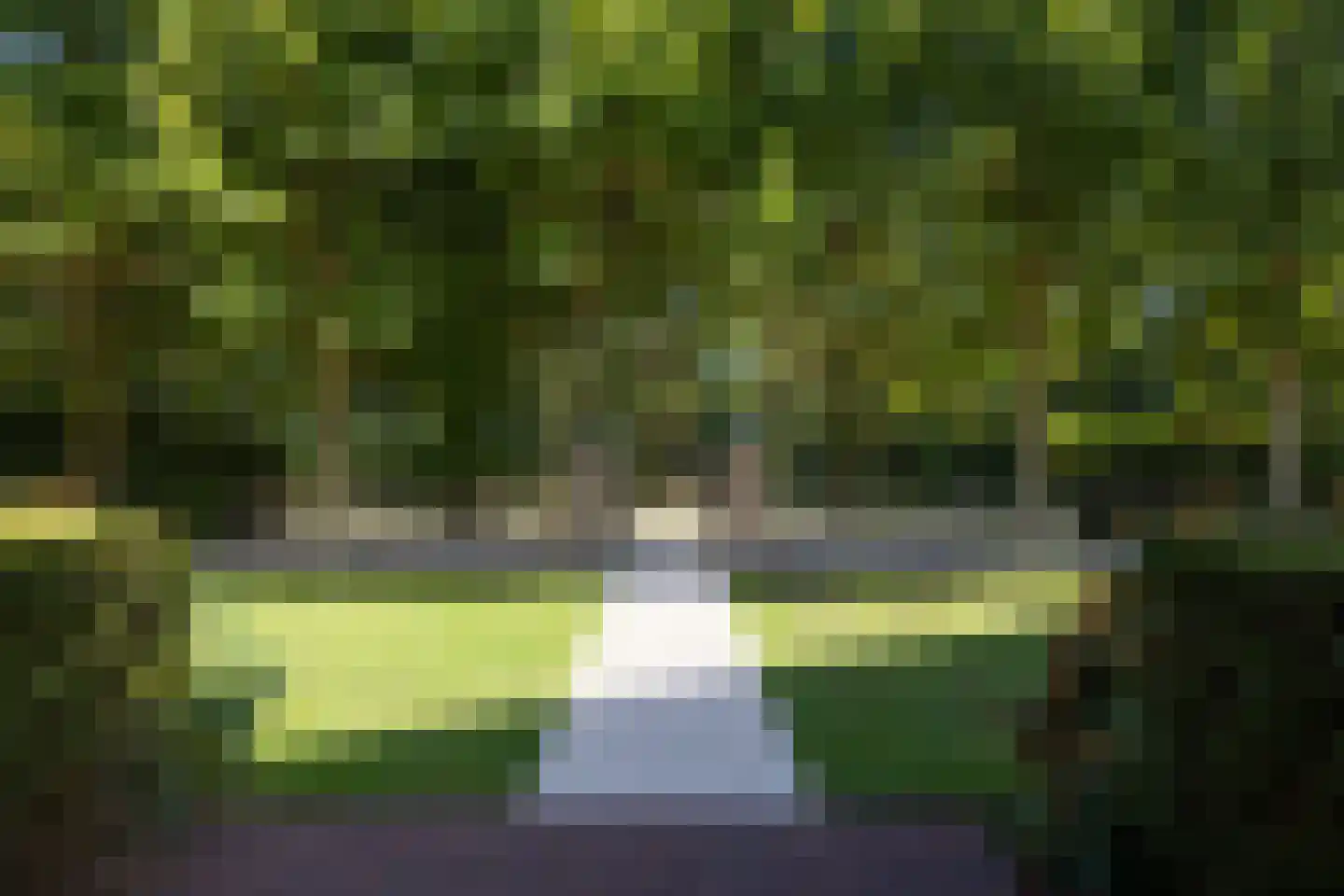 Kapelweg 23 Bergeijk thumbnail 68
