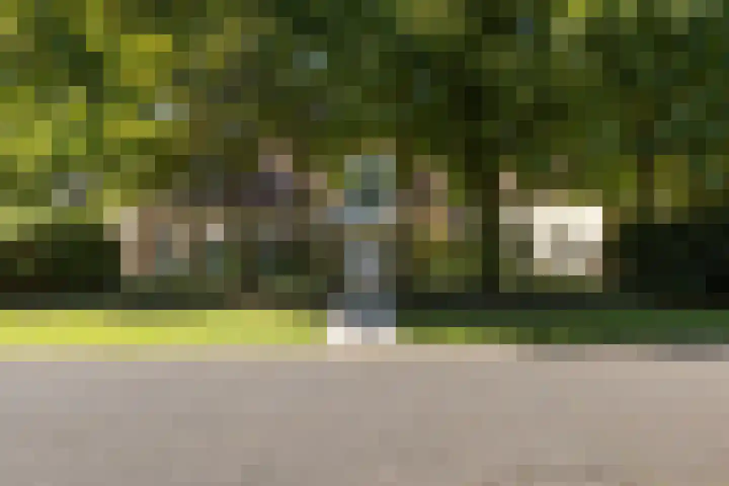 Kapelweg 23 Bergeijk thumbnail 69